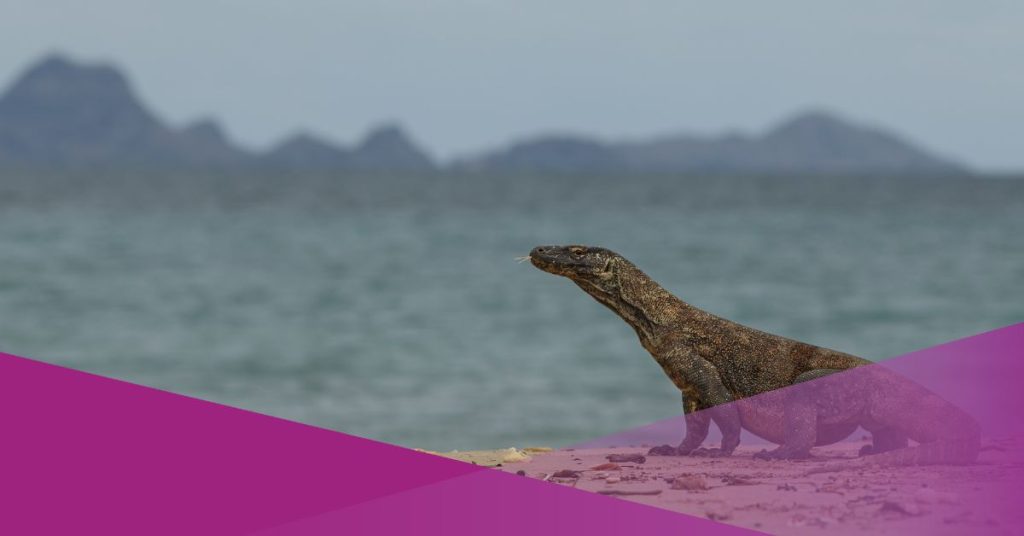 komodo island