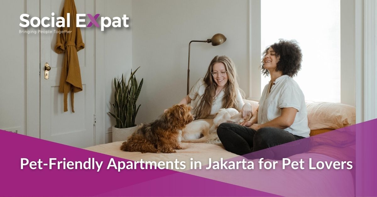 PetFriendly Apartments in Jakarta for Pet Lovers Social Expat