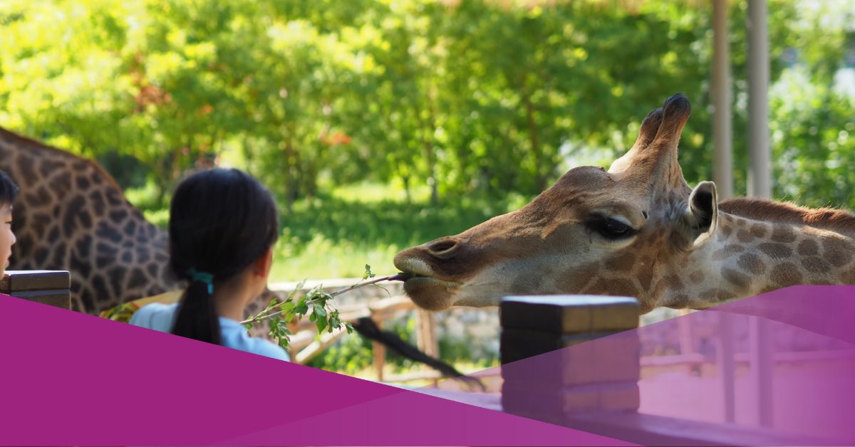 Zoos in Bali for Your Fantastic Safari Trip | Social Expat Zoos in Bali for Your Fantastic Safari Trip | Social Expat