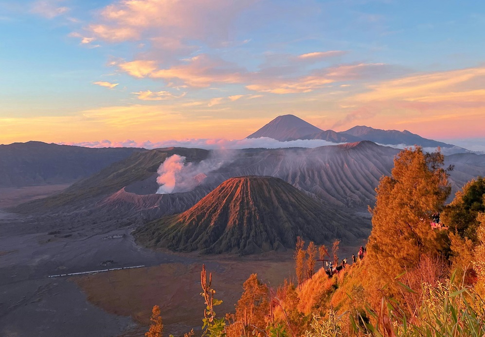 bromo