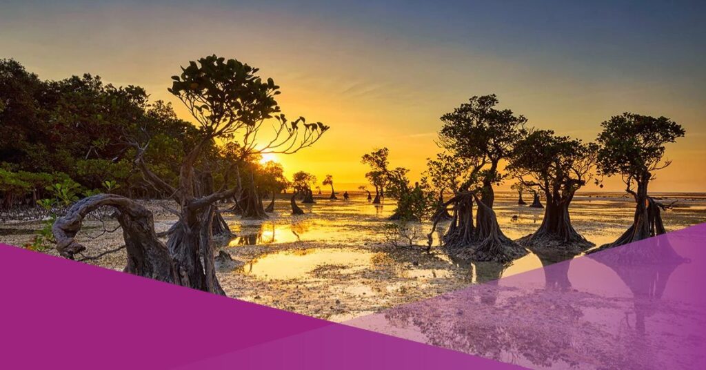 sumba best destination time out