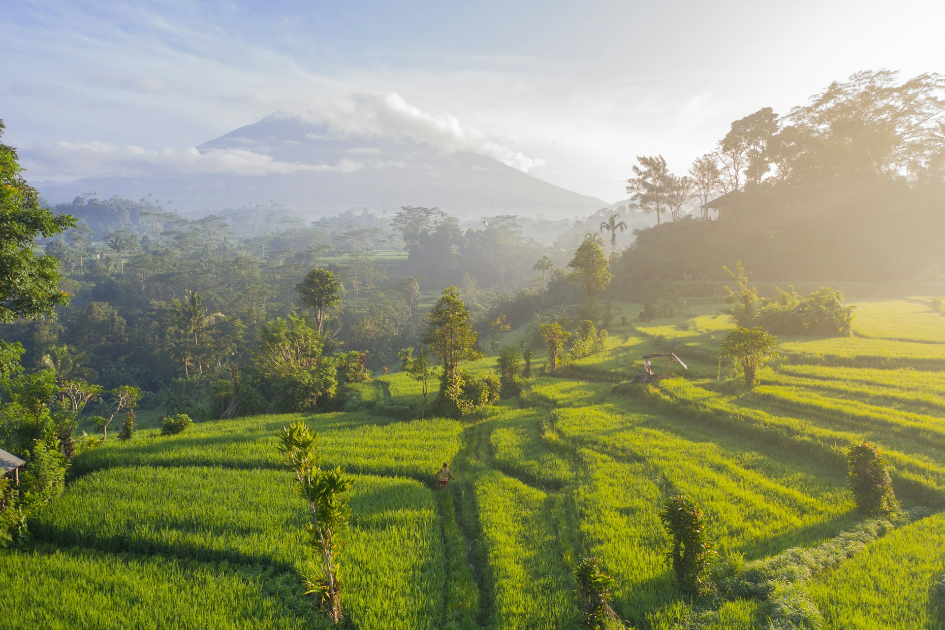 bali real estate investment