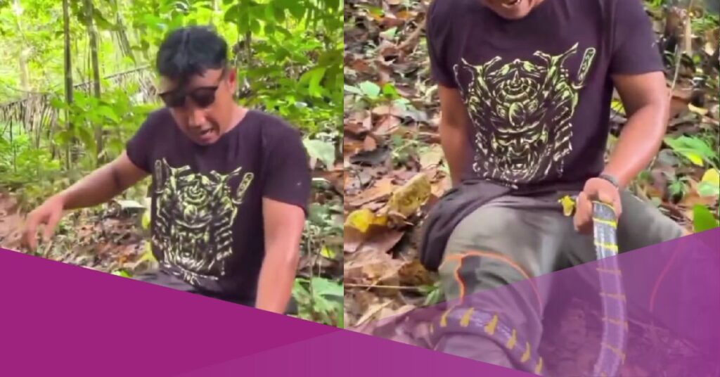 indonesia influencer bitten by snake