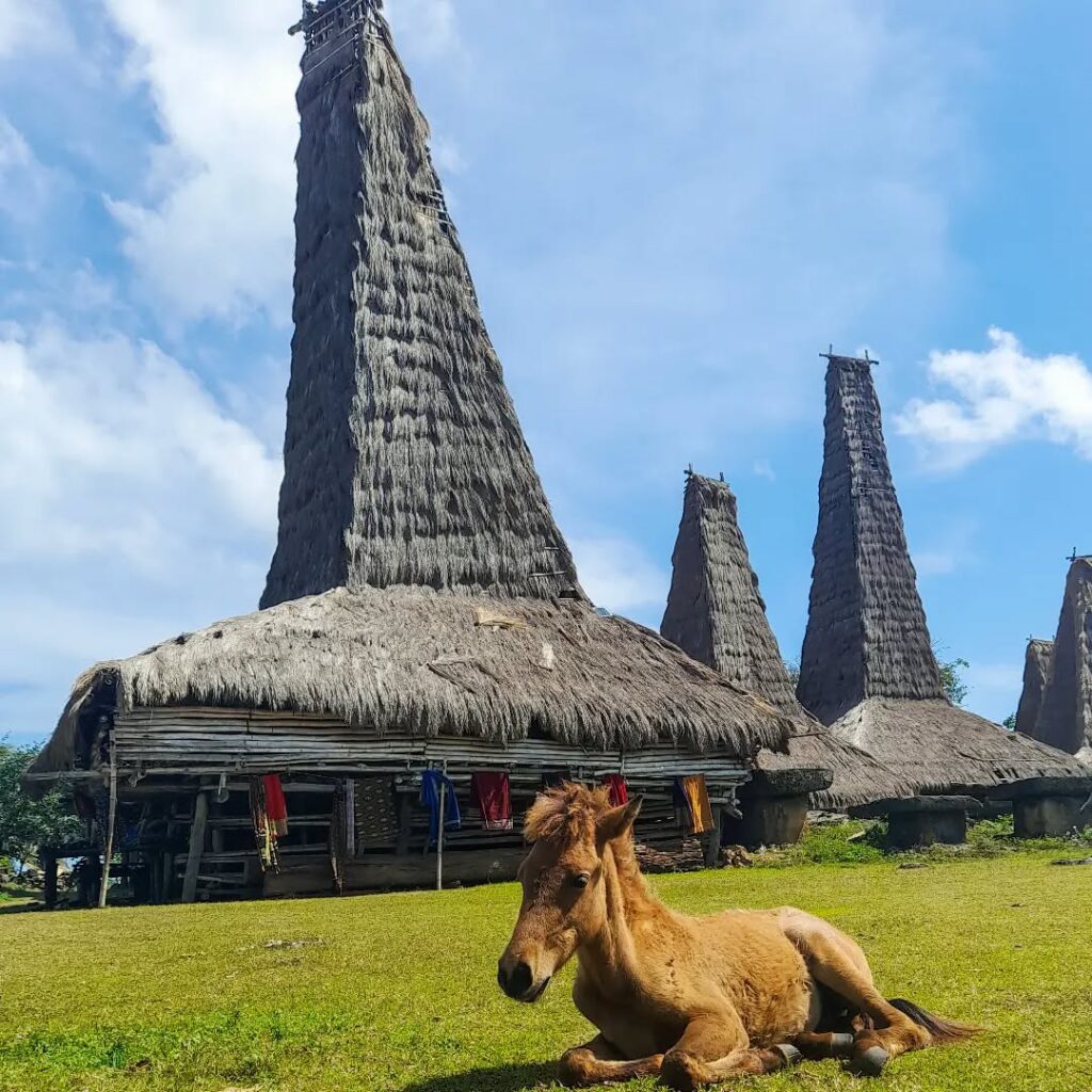 A Guide to Ratenggaro Village
