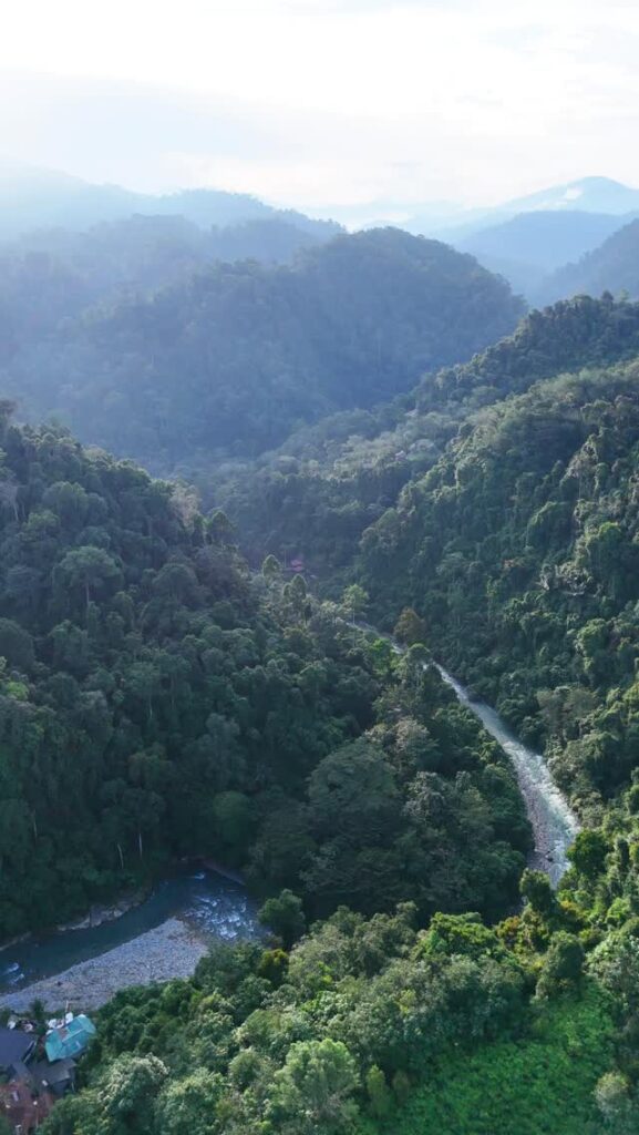 bukit lawang sumatra view