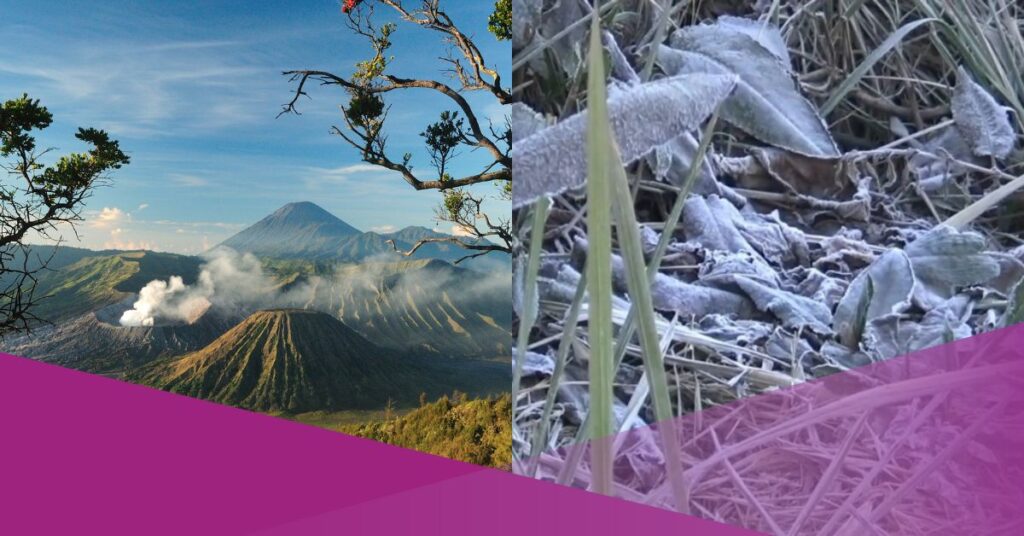 ice bromo