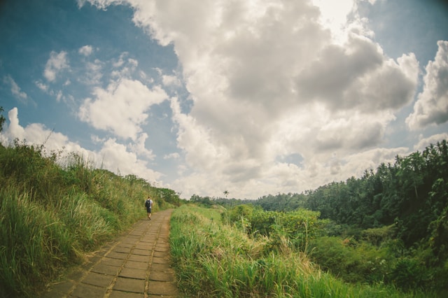 Campuhan Walking Trail Bali