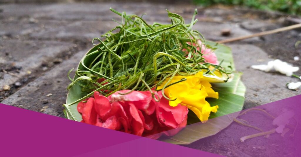 What Happens if You Step on a Canang in Bali
