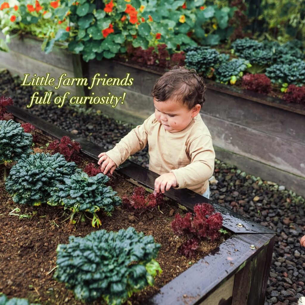 Attractions at Bali Farm House