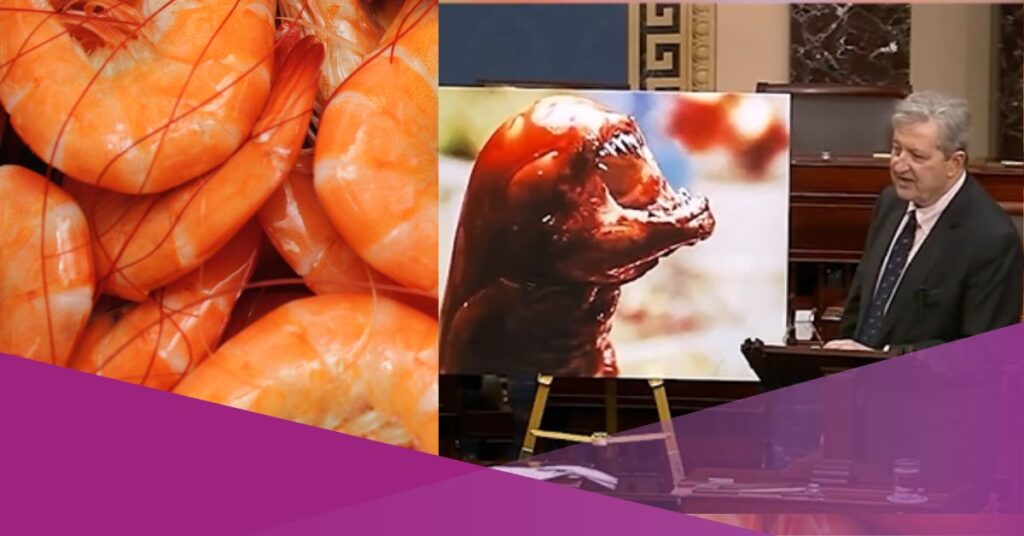 Indonesian shrimp