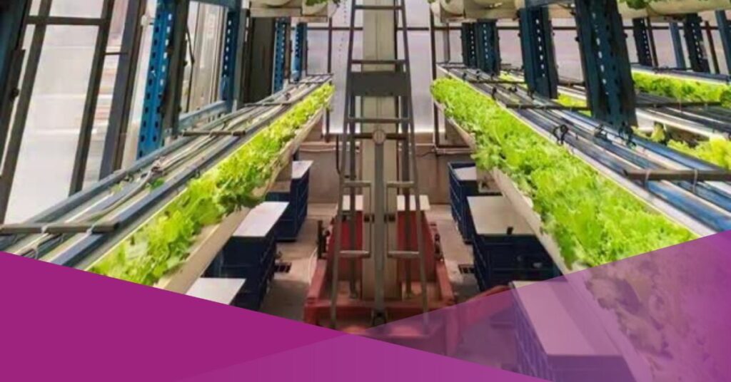 Indonesia’s Highest Vertical Hydroponic Garden Grows in the Capital
