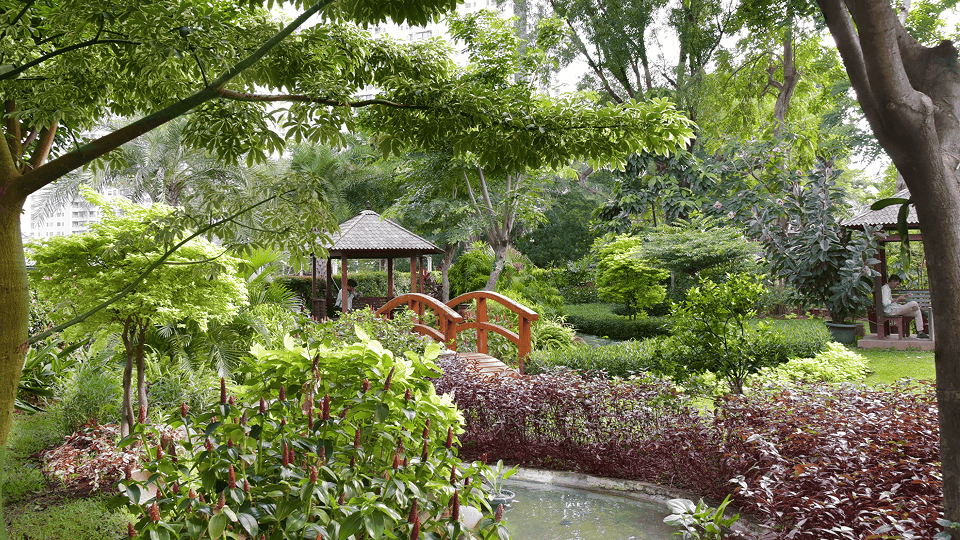 [Photo: Wisma 46 social garden - Designed as part of Wisma 46’s sustainable vision, this tranquil garden provides tenants with a natural retreat that promotes wellbeing and balance in the workplace.]