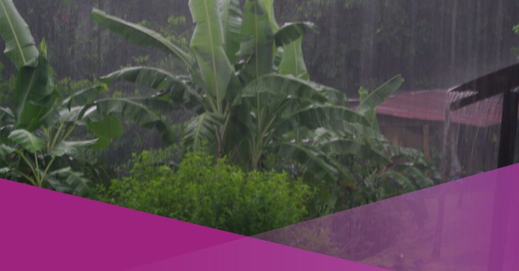 Indonesia Braces for Peak Rainy Season, BMKG Warns of Extreme Weather