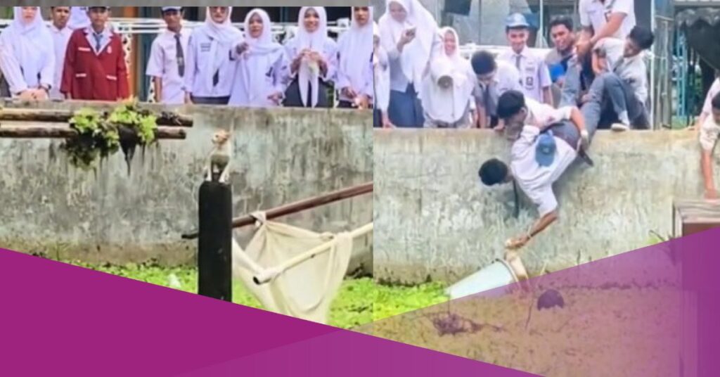 Viral Video Shows Students from Indonesia Teaming Up to Save a Cat from a Pool