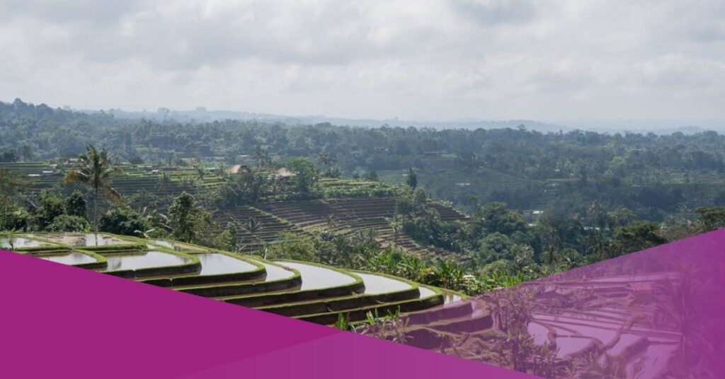 Bali Jatiluwih Protest Continues as Farmers Place Plastic and Zinc Sheets on Rice Fields