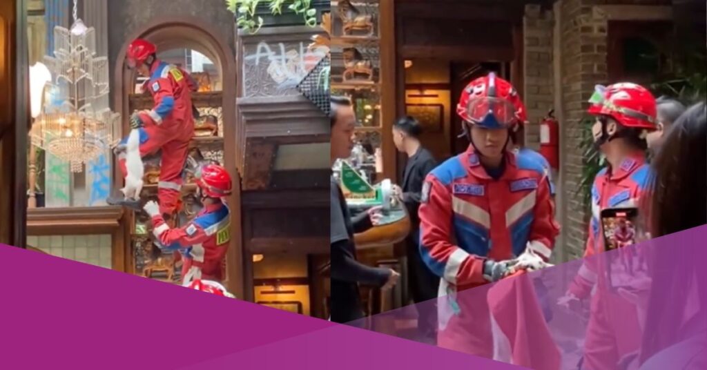 Firefighters in Indonesia Rescue a Cat Trapped Inside a Luxury Restaurant