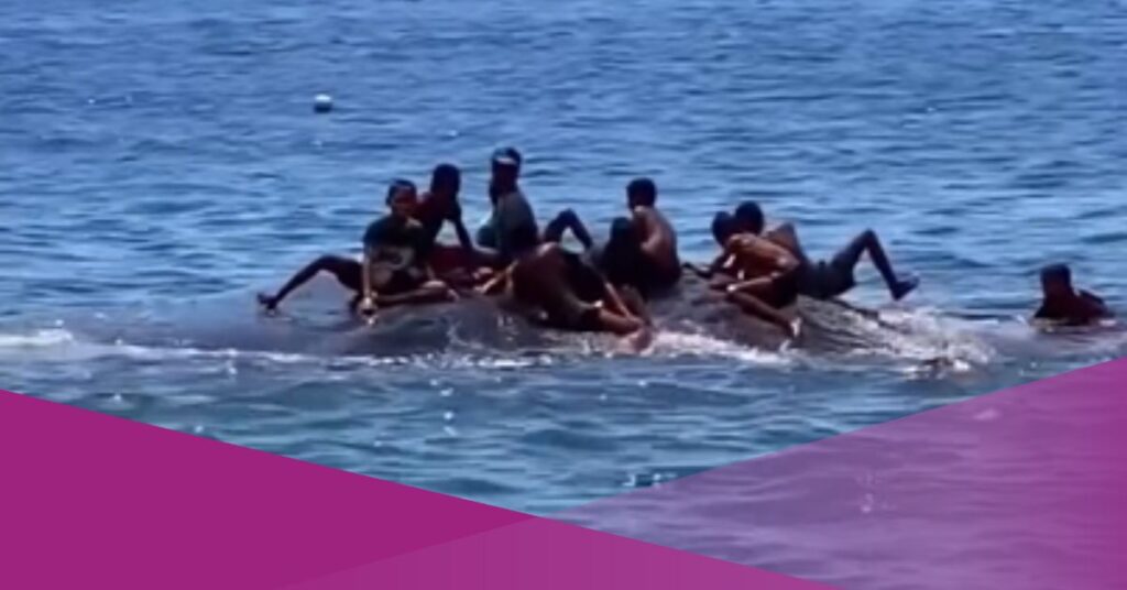 Viral Video Shows Children in NTT, Indonesia, Playing and Swimming with a Whale