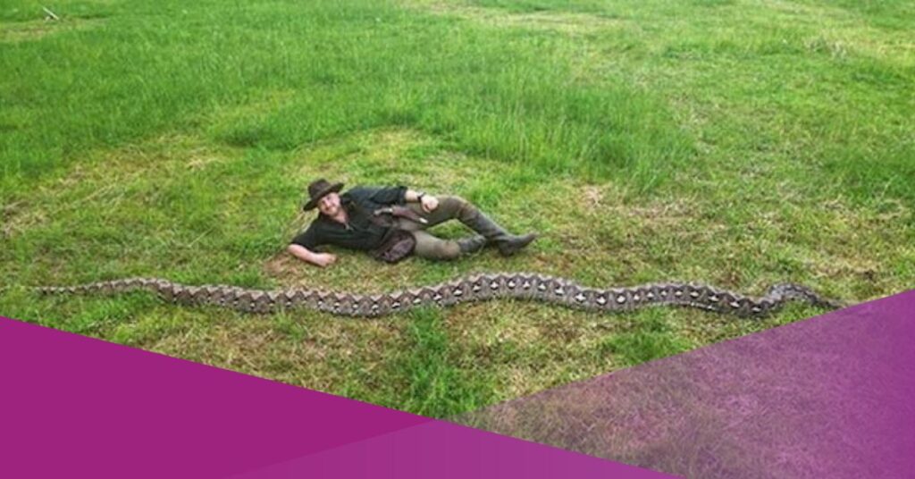 Ibu baron snake longest world guinness record