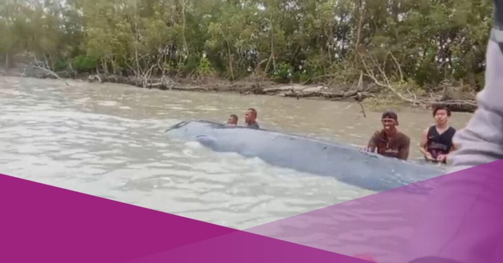 15-Metre Whale Seen in Indonesian River