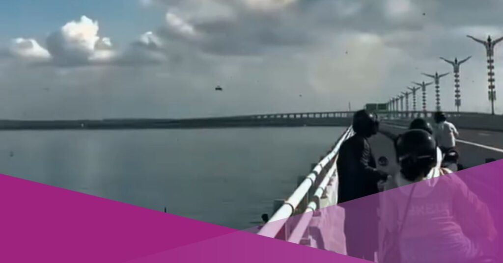 Video Shows Bee Swarm Crosses Bali Mandara Toll Road