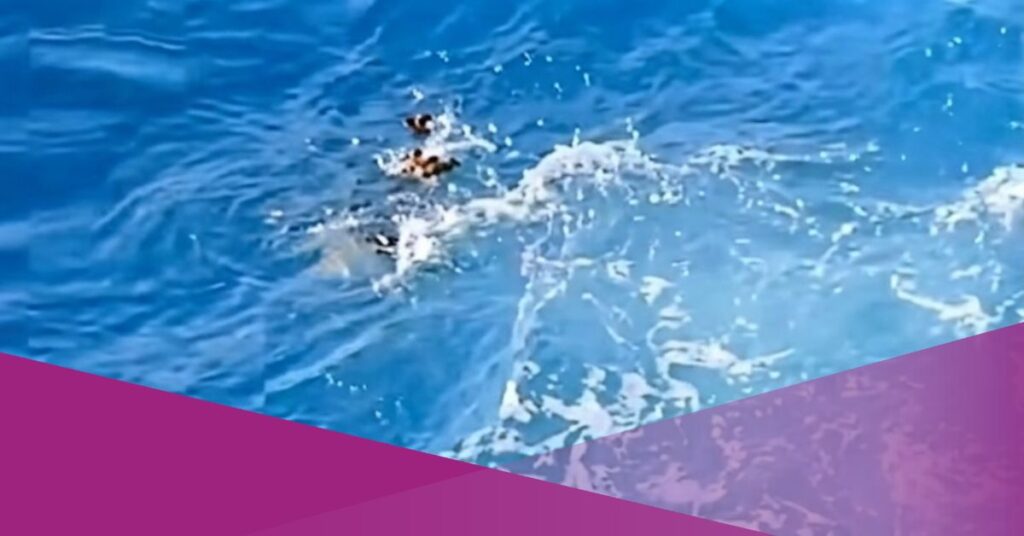 Tourist Dies After Being Swept Away by Waves at Apparalang Cliffs, Site Closed for Investigation