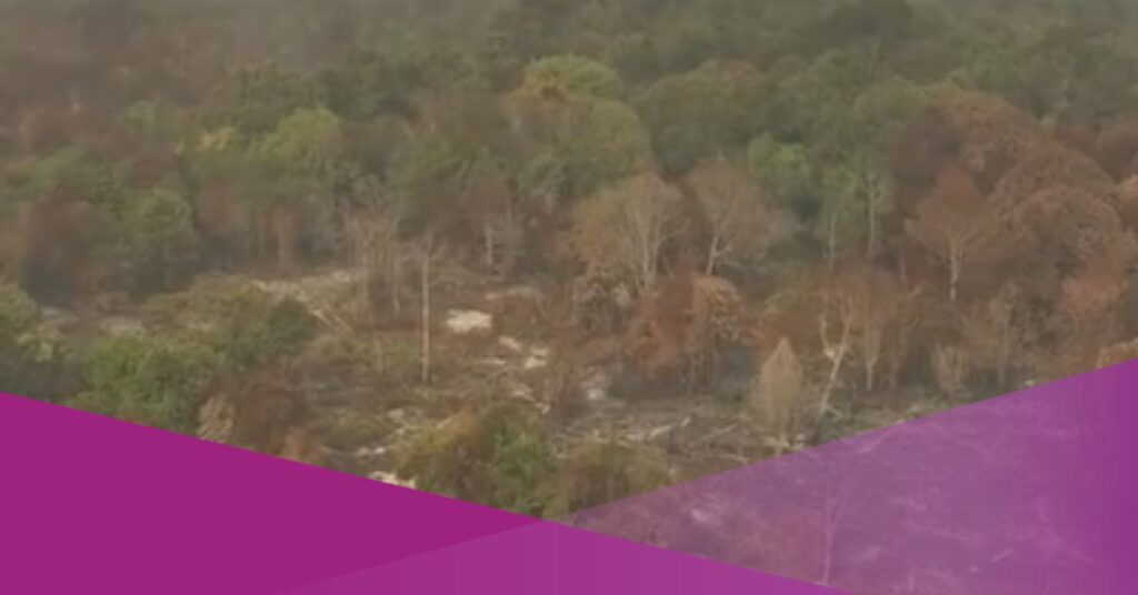 Indonesia Forest Fires