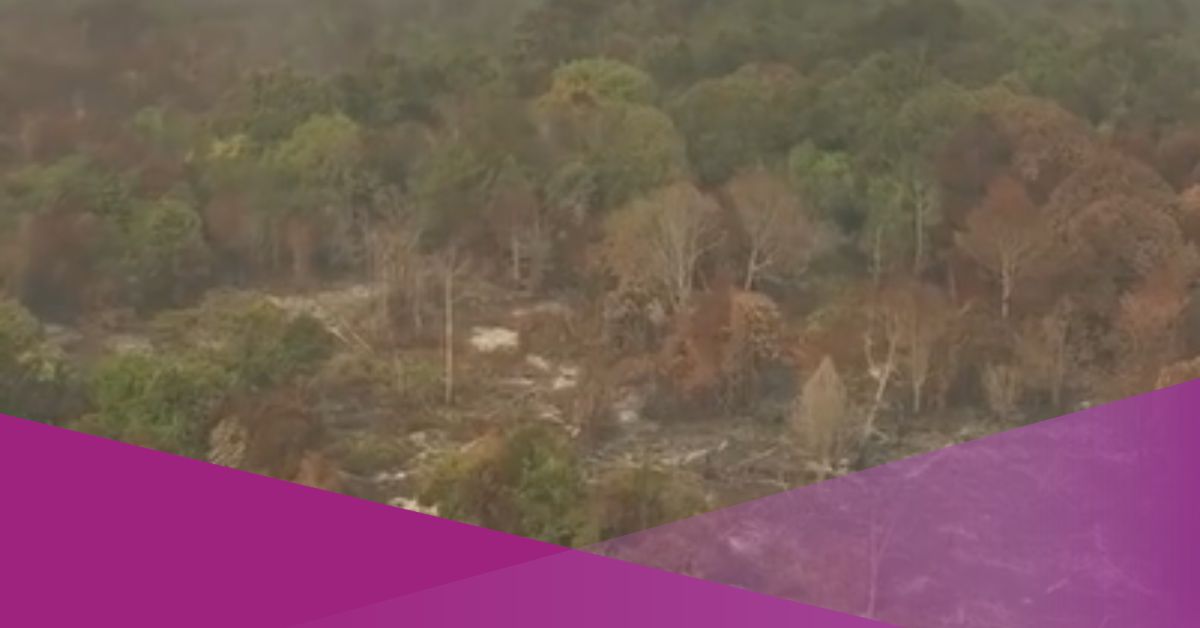 Indonesia Forest Fires