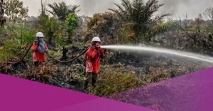 The Power of Mama: The Women Guarding Kalimantan's Forests from Fire